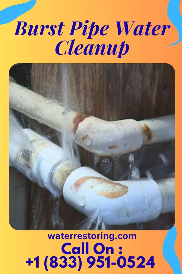 Burst Pipe Water Cleanup in Gun Club Estates, FL