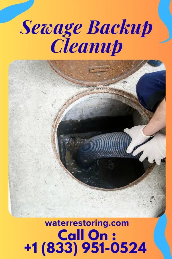 Sewage Backup Cleanup in Gun Club Estates, FL